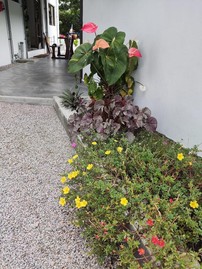 Riverside Mount Simpson Upper Beau Vallon  Luaran gambar