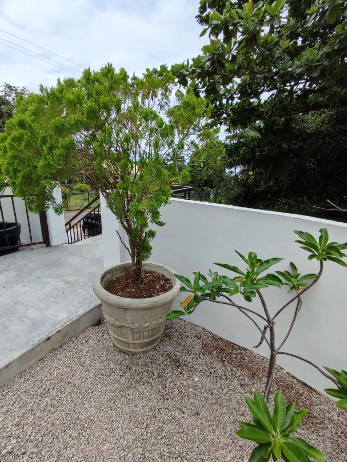 Riverside Mount Simpson Upper Beau Vallon  Luaran gambar